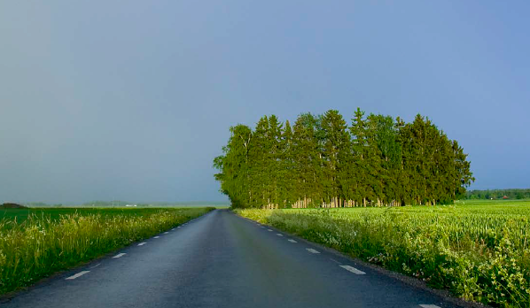 En asfaltväg som fortsätter mot blå himmel och en skogsdunge.